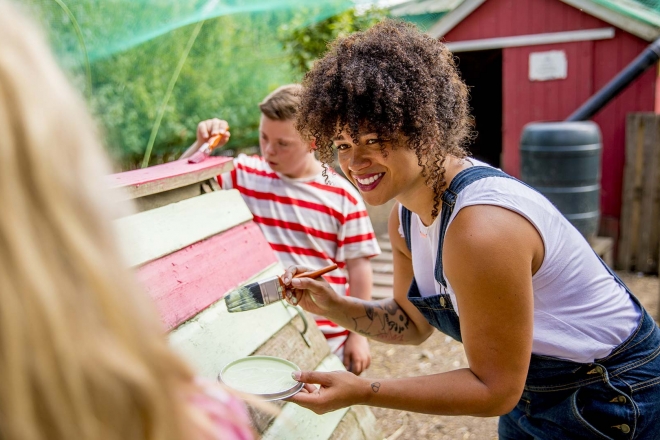 Painting fence panel